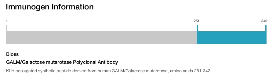 GALM/Galactose mutarotase Polyclonal Antibody