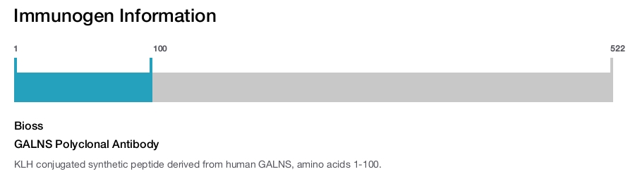GALNS Polyclonal Antibody