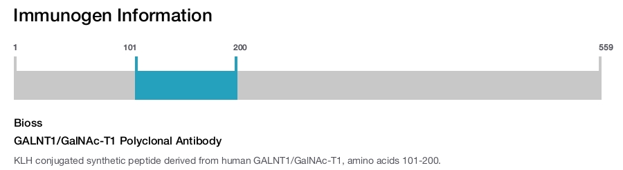 GALNT1/GalNAc-T1 Polyclonal Antibody