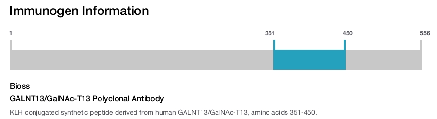 GALNT13/GalNAc-T13 Polyclonal Antibody