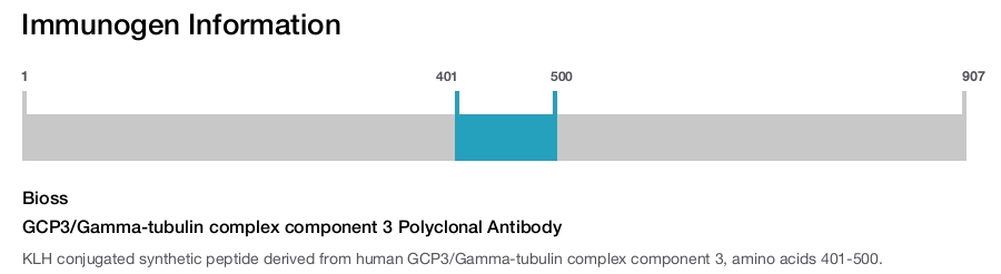 GCP3/Gamma-tubulin complex component 3 Polyclonal Antibody
