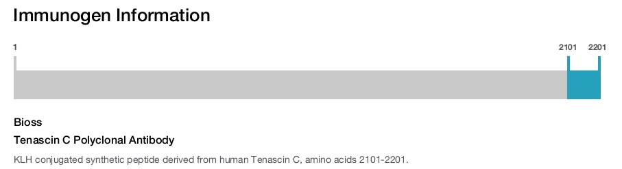 Tenascin C Polyclonal Antibody