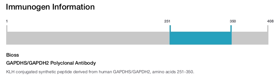 GAPDHS/GAPDH2 Polyclonal Antibody