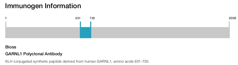 GARNL1 Polyclonal Antibody