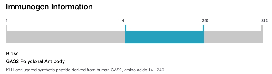 GAS2 Polyclonal Antibody