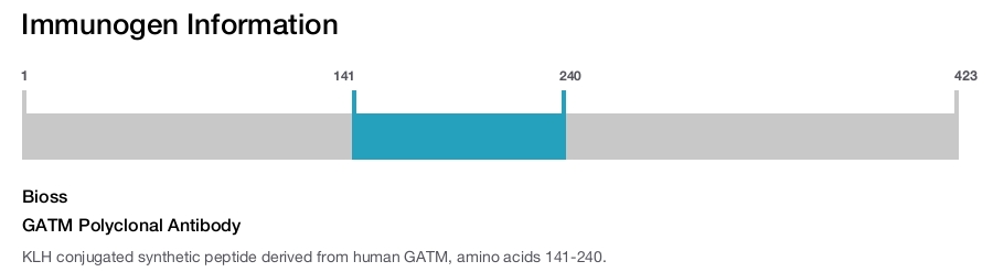 GATM Polyclonal Antibody