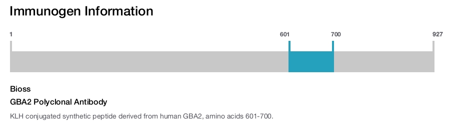 GBA2 Polyclonal Antibody