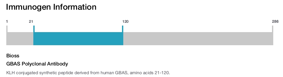 GBAS Polyclonal Antibody