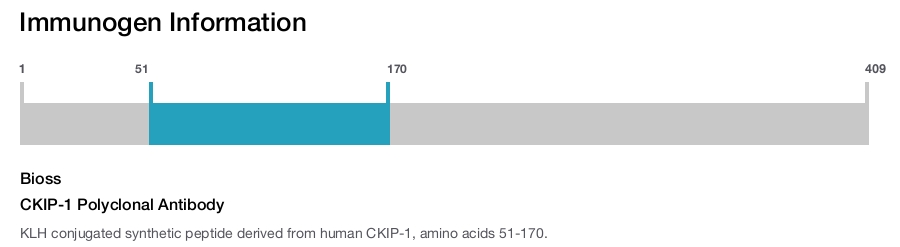 CKIP-1 Polyclonal Antibody