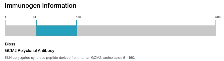 GCM2 Polyclonal Antibody
