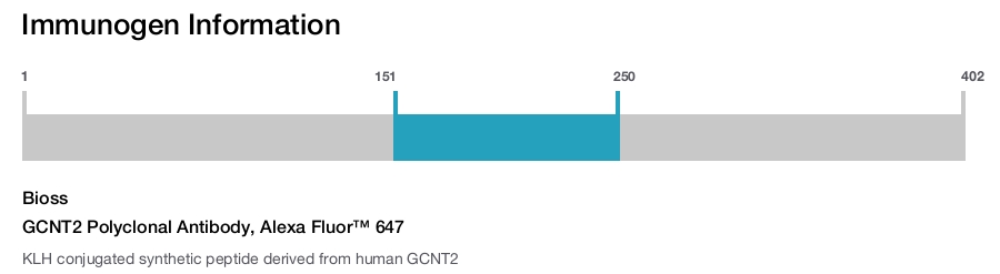 GCNT2 Polyclonal Antibody, Alexa Fluor™ 647