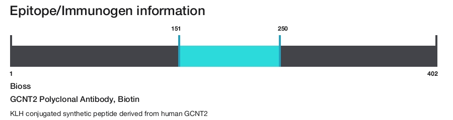 GCNT2 Polyclonal Antibody, Biotin