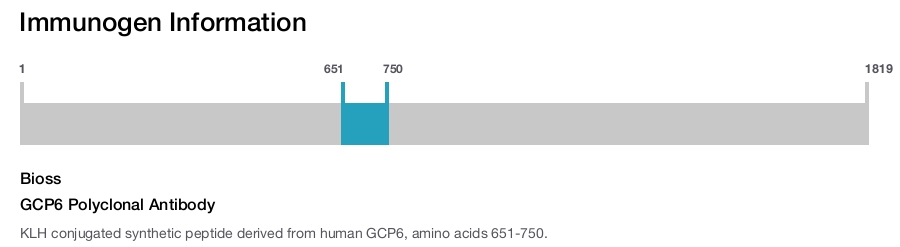 GCP6 Polyclonal Antibody