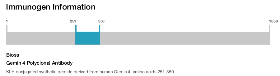 Gemin 4 Polyclonal Antibody