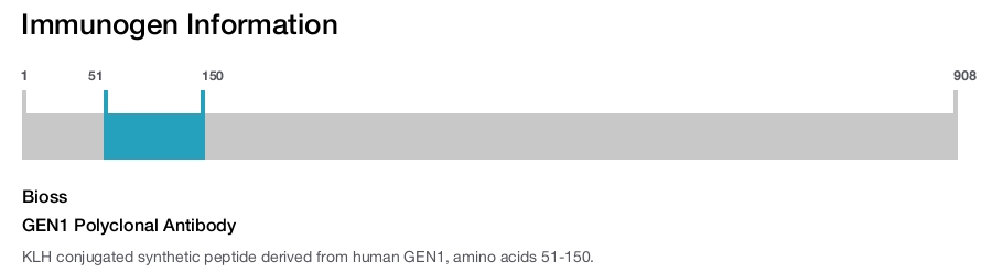GEN1 Polyclonal Antibody