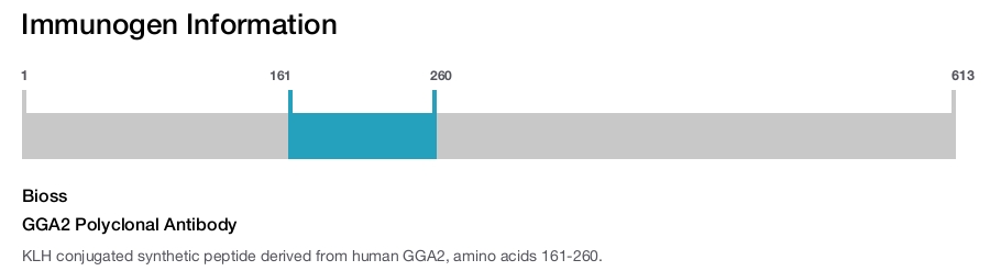 GGA2 Polyclonal Antibody