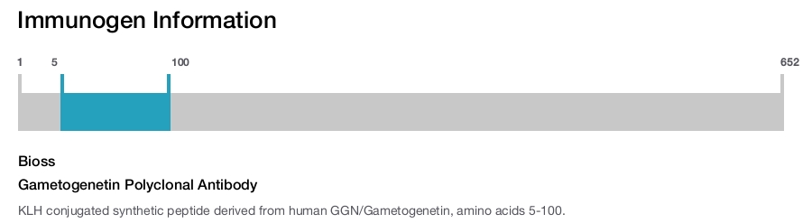 Gametogenetin Polyclonal Antibody