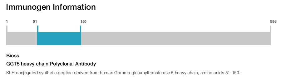 GGT5 heavy chain Polyclonal Antibody