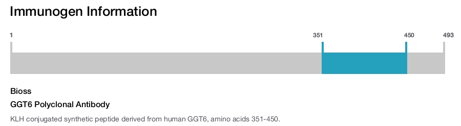 GGT6 Polyclonal Antibody
