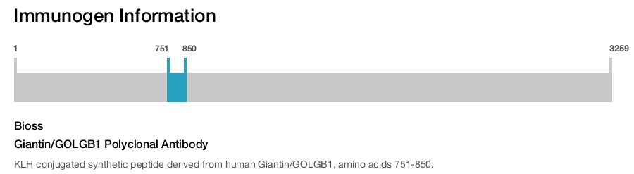 Giantin/GOLGB1 Polyclonal Antibody