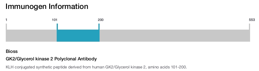 GK2/Glycerol kinase 2 Polyclonal Antibody