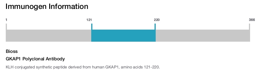GKAP1 Polyclonal Antibody