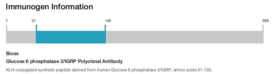 Glucose 6 phosphatase 2/IGRP Polyclonal Antibody