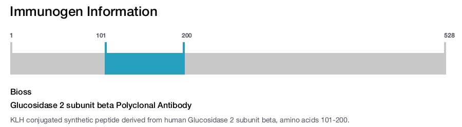 Glucosidase 2 subunit beta Polyclonal Antibody