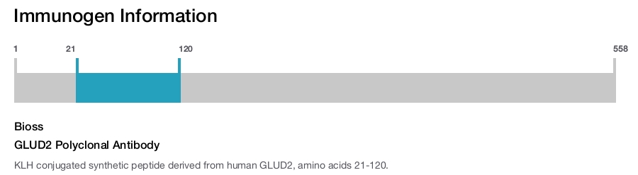 GLUD2 Polyclonal Antibody