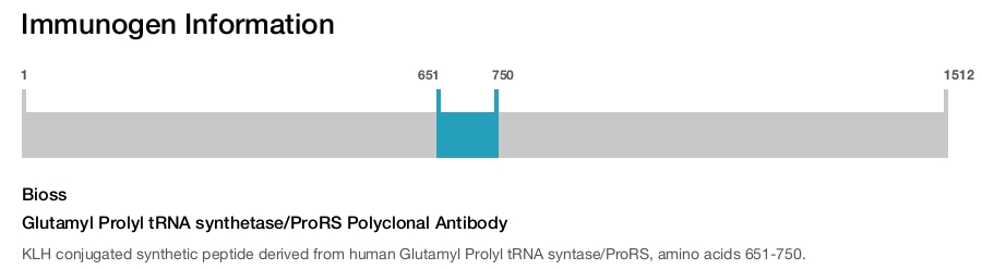 Glutamyl Prolyl tRNA synthetase/ProRS Polyclonal Antibody