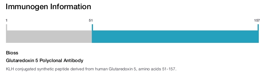 Glutaredoxin 5 Polyclonal Antibody
