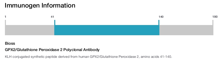 GPX2/Glutathione Peroxidase 2 Polyclonal Antibody
