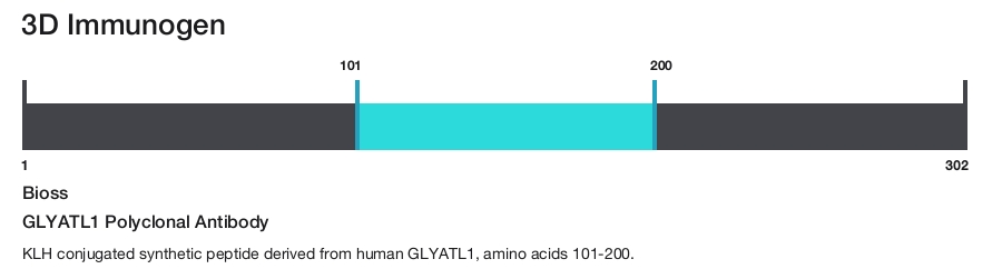 GLYATL1 Polyclonal Antibody