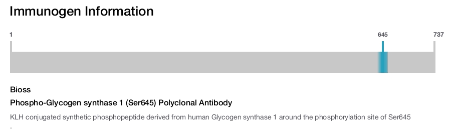 Phospho-Glycogen synthase 1 (Ser645) Polyclonal Antibody