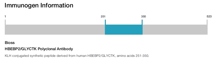 HBEBP2/GLYCTK Polyclonal Antibody
