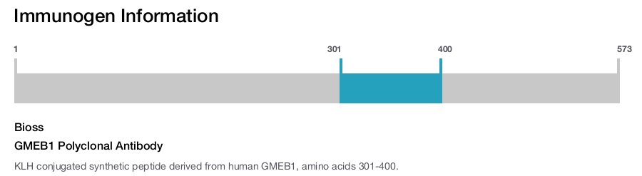 GMEB1 Polyclonal Antibody