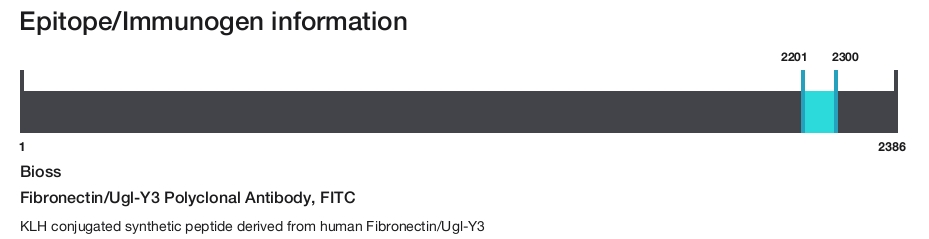 Fibronectin/Ugl-Y3 Polyclonal Antibody, FITC
