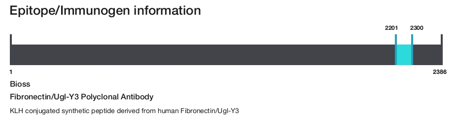 Fibronectin/Ugl-Y3 Polyclonal Antibody