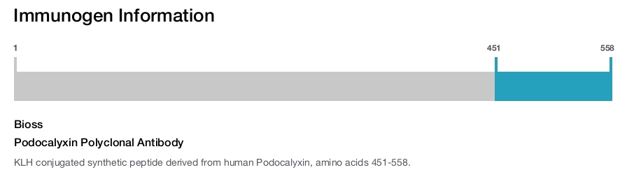 Podocalyxin Polyclonal Antibody