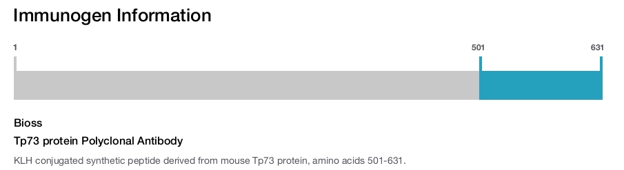 Tp73 protein Polyclonal Antibody