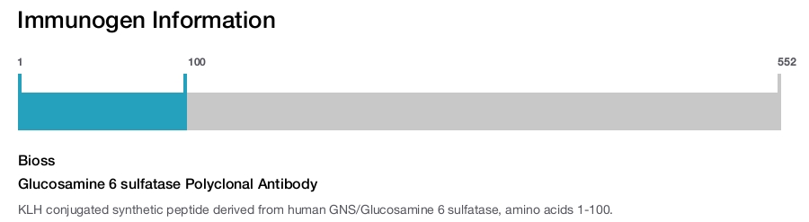Glucosamine 6 sulfatase Polyclonal Antibody