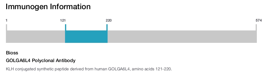GOLGA6L4 Polyclonal Antibody