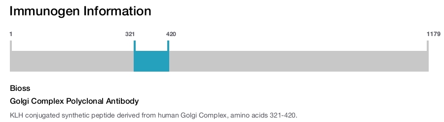 Golgi Complex Polyclonal Antibody