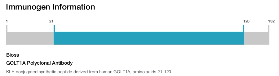 GOLT1A Polyclonal Antibody