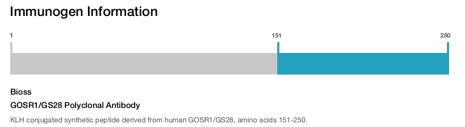 GOSR1/GS28 Polyclonal Antibody