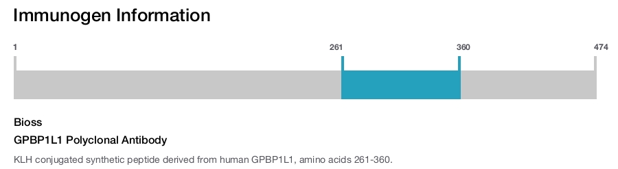 GPBP1L1 Polyclonal Antibody