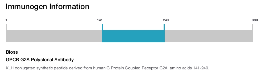 GPCR G2A Polyclonal Antibody