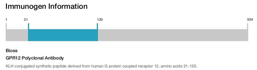 GPR12 Polyclonal Antibody