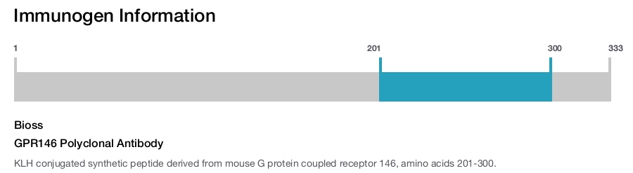 GPR146 Polyclonal Antibody