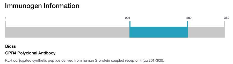 GPR4 Polyclonal Antibody